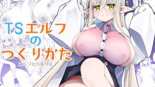 d 330491pl 320x180 - TSエルフのつくりかた【すらいむのかんむり】