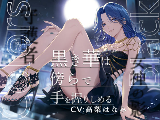d 380282pl - Colors Black -黒き華は傍らで手を握りしめる-【陥落乙女インフェルノ】