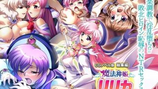 d 421891pl 320x180 - 魔法神姫リリカ CGノベル版 総集編 〜快楽調教で淫乱堕ち！？ 敗北ヒロイン恥辱のNTRセックス〜【どろっぷす！】