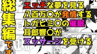 d 435916pl 320x180 - ヒロアカ総集編02【おでんエデン】