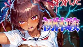 d 480219pl 320x180 - 【褐色雷遁】奪われた初体験【ぽるん】