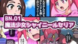 d 482236pl 320x180 - BN.01魔法少女シャイニールセリア【mega w】