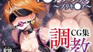 d 523073pl 320x180 - 調教CG集 キ●アブラック〜ふたりはプリキ●ア（美●なぎさ）〜【全200枚】【二次ソムリエ】