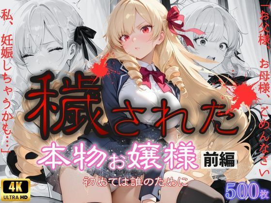 d 563126pl - 「お父様、お母様、ごめんなさい。私、妊娠しちゃうかも」穢された本物お嬢様  前編〜初めては誰のために〜【桃太堂】