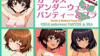 d 564522pl 320x180 - Girls underwear panties and bra レオポンさんチーム編【令和の池田亀太郎】