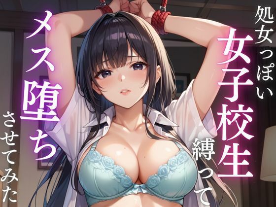 d 597163pl - 処女っぽい女子校生縛って  メス堕ちさせてみた【妄想マカロン】
