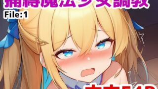 d 617333pl 320x180 - 捕縛魔法少女調教 File:1【saltワークス】
