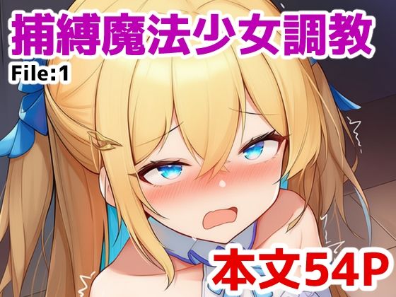 d 617333pl - 捕縛魔法少女調教 File:1【saltワークス】