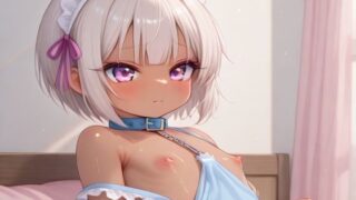 d 617433pl 320x180 - メイドコレクション壱【白屋】