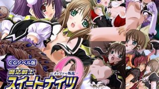d 618277pl 320x180 - 魔法戦士スイートナイツ2 〜メッツァー叛乱〜 CGノベル版 第二話【どろっぷす！】