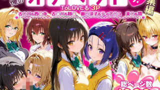 d 621125pl 320x180 - ふたりは俺のオナペットっ！ToLOVEる総集編1【ローマの平日】