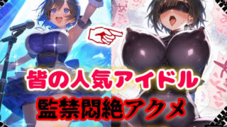 d 624447pl 320x180 - 人気アイドル拉致監禁プロファイリング【CG集500枚】【ぷりずむコメット】