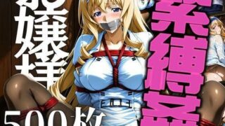 d 625203pl 320x180 - お嬢様を緊縛姦【エロ灰皿】