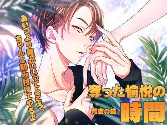 d 625747pl - 奪った愉悦の時間【月夜の猫】