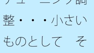 d 631048pl 320x180 - チューニング調整・・・小さいものとして  それほど広くない木箱の中での周波数エンタ【サマールンルン】