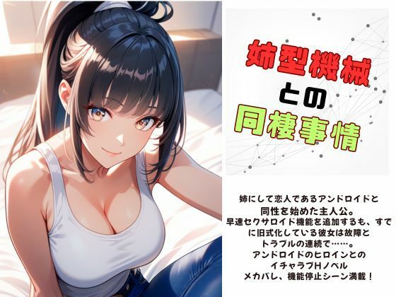 d 631400pl - 姉型機械との同棲事情【Meggy】