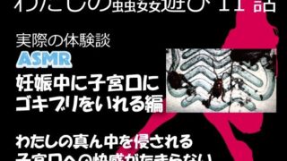 d 632119pl 320x180 - わたしの蟲姦遊び 第11話 妊娠中、子宮口にゴキブリを入れる編 音声（ASMR）【シングルママの日常】