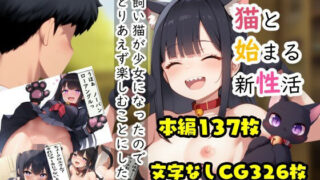 d 633971pl 320x180 - 猫と始まる新性活【鰐梨倶楽部】