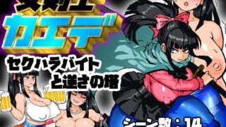 d 637471pl 320x180 - 女剣士カエデ  セクハラバイトと逆さの塔【久利散瀬魔無】
