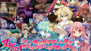 d 121995pl 320x180 - 【モン娘70％オフ福袋】ヌケる！モン娘の恥ずかしい姿を愛でながらたっぷり遊べるRPG お買い得パック【モニスタラッシュ/a Matures】