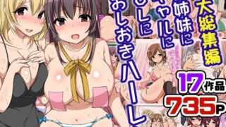 d 260496pl 320x180 - 大総集編 従姉妹にギャルにOLにおしおきハーレム 17作品735ページ【MCmc】
