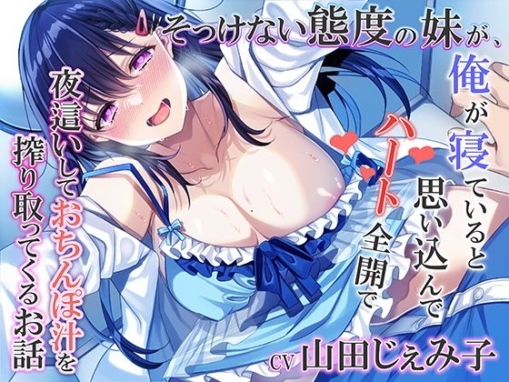d 289932pl - そっけない態度の妹が、俺が寝ていると思い込んでハート全開で夜●いしておちんぽ汁を搾り取ってくるお話【みずしろラビリンス♪】