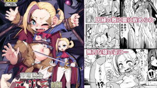 d 311604pl 320x180 - 聖魔騎士エリス 〜ザコ猿化の呪い〜 前編【ななめ班】