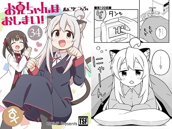 d 648449pl - お兄ちゃんはおしまい！34【GRINP】